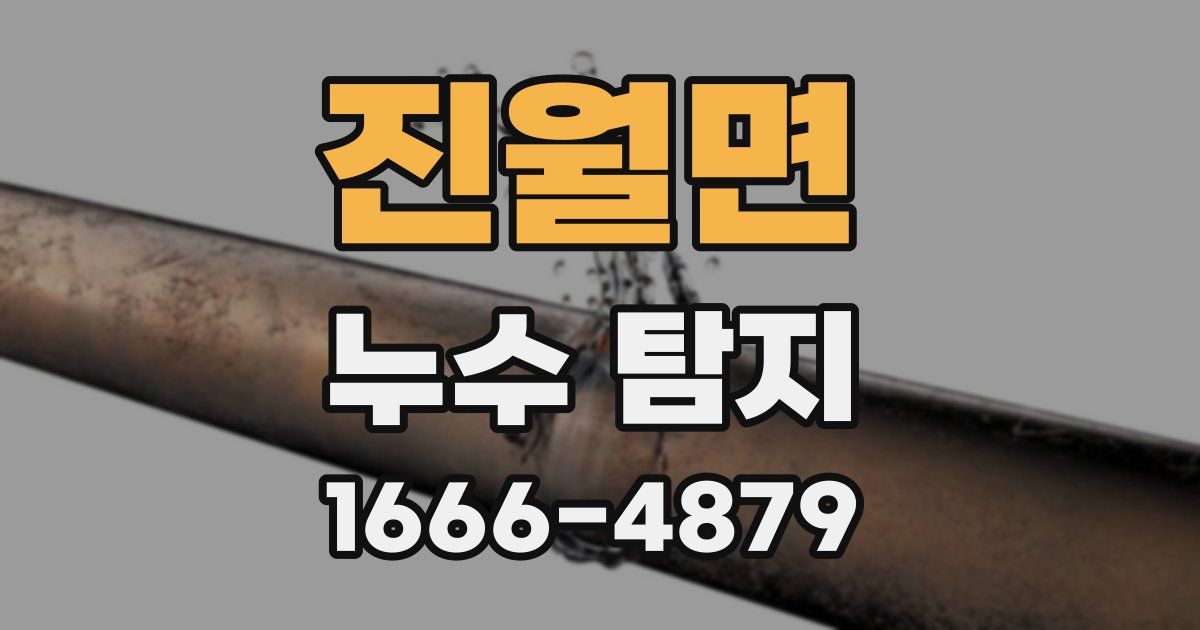 진월면 누수 탐지