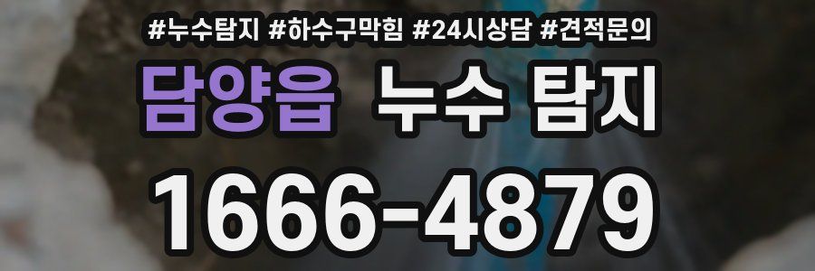 담양읍 누수 탐지