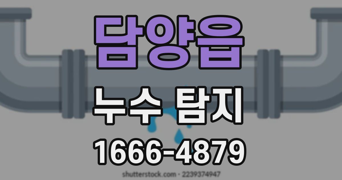 담양읍 누수 탐지