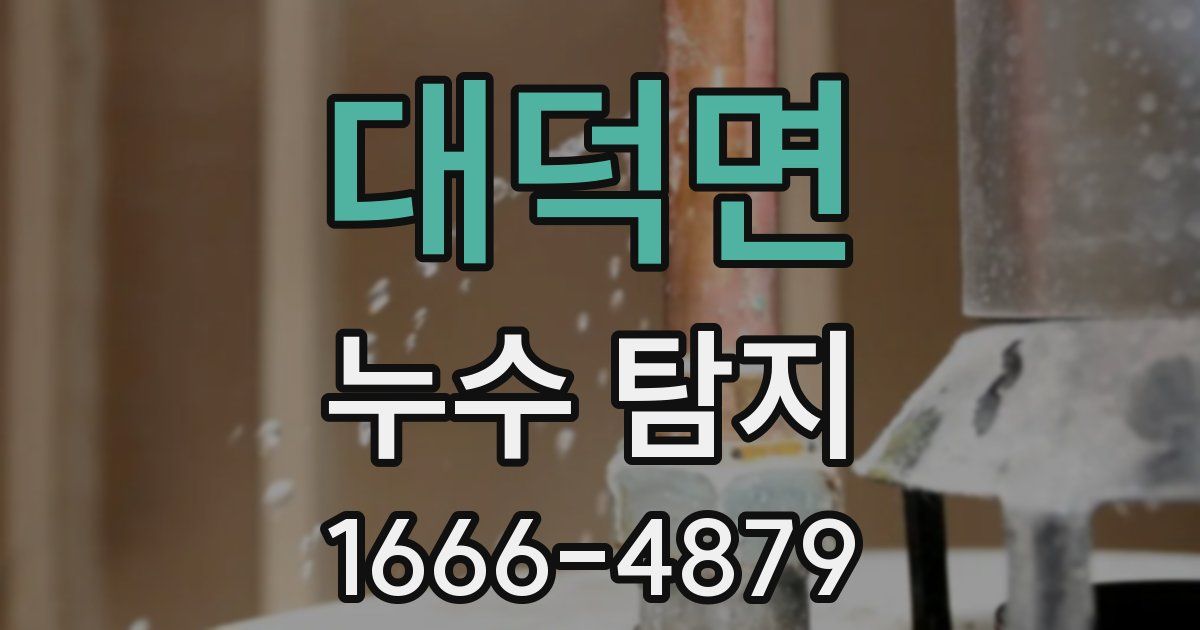 대덕면 누수 탐지