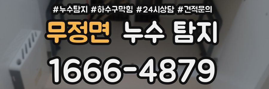 무정면 누수 탐지