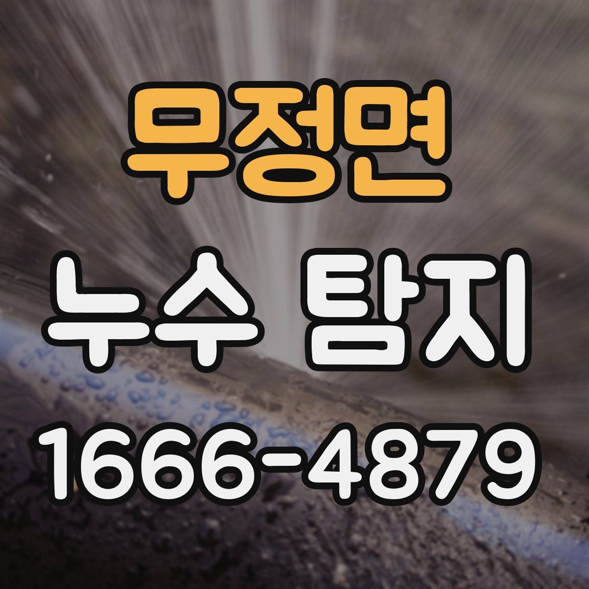 무정면 누수 탐지
