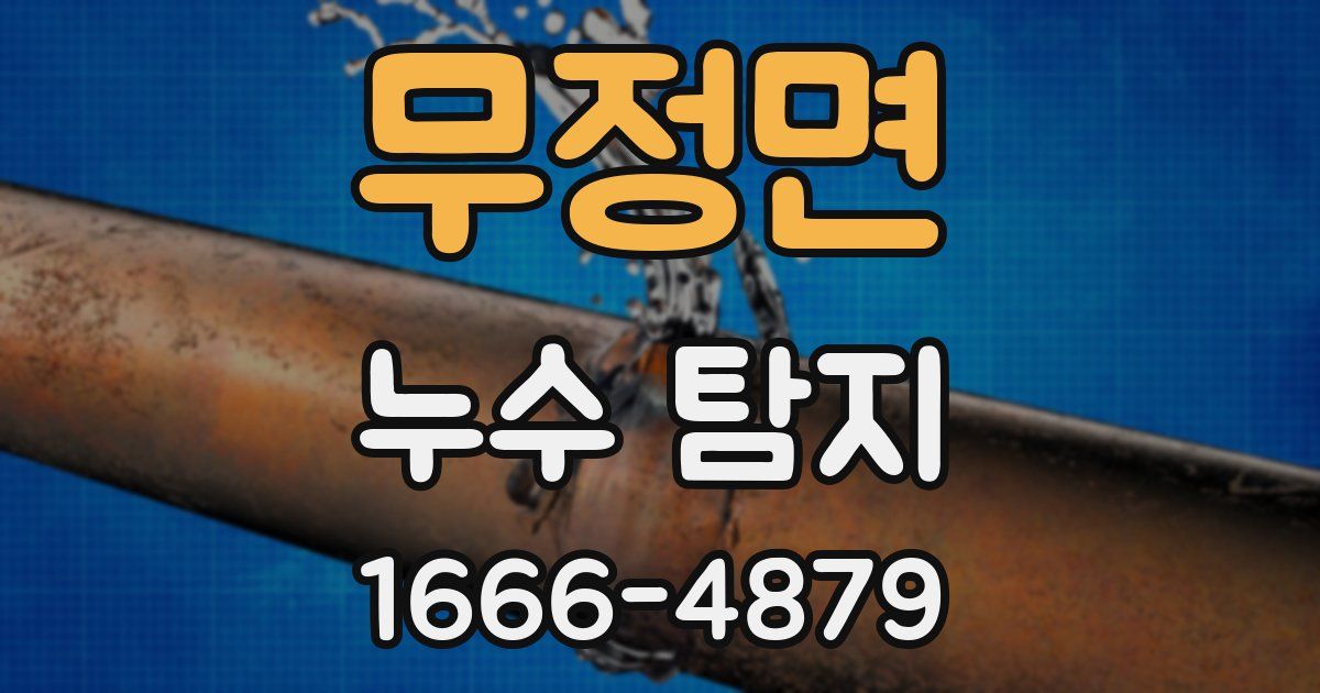 무정면 누수 탐지