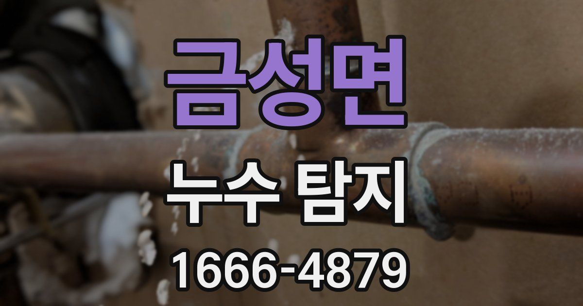 금성면 누수 탐지