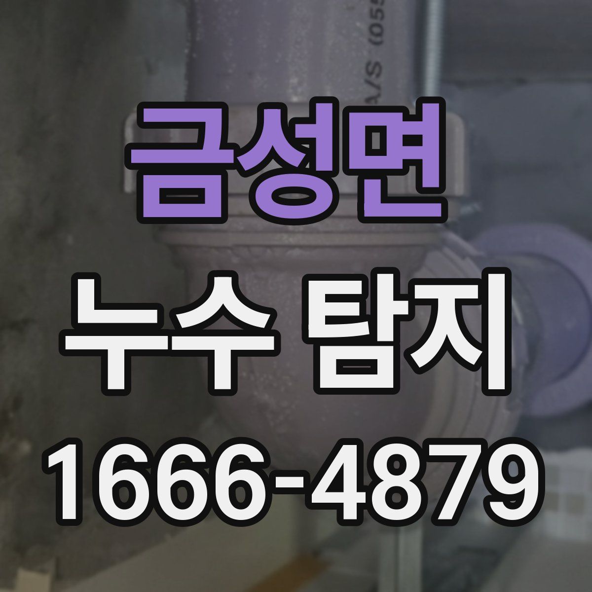 금성면 누수 탐지