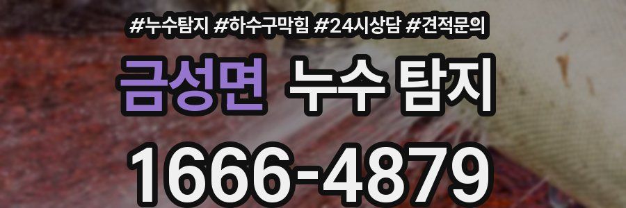 금성면 누수 탐지