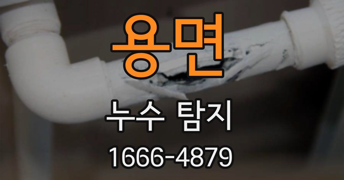 용면 누수 탐지