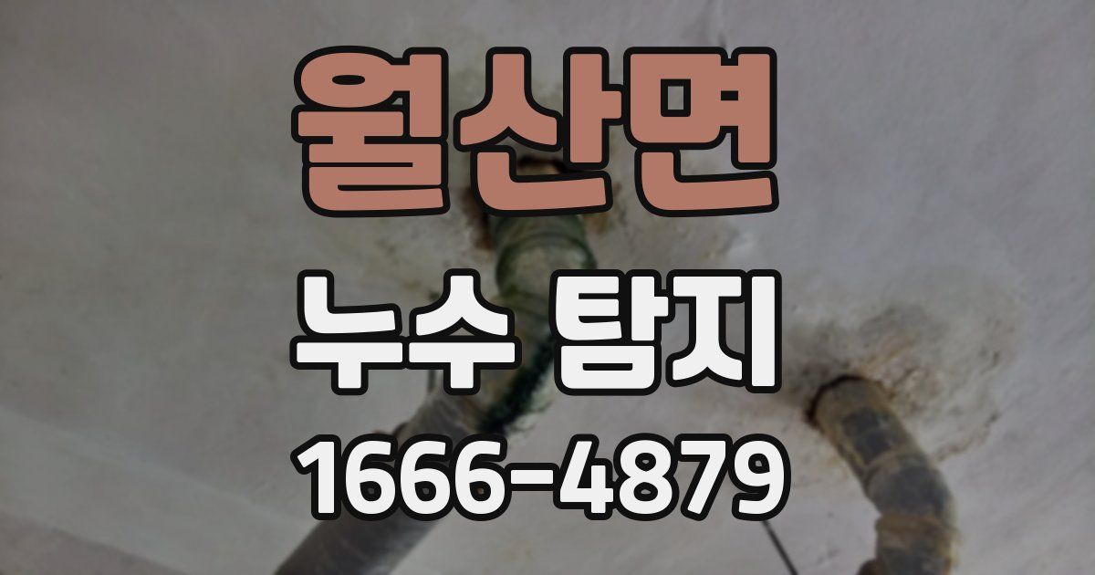월산면 누수 탐지