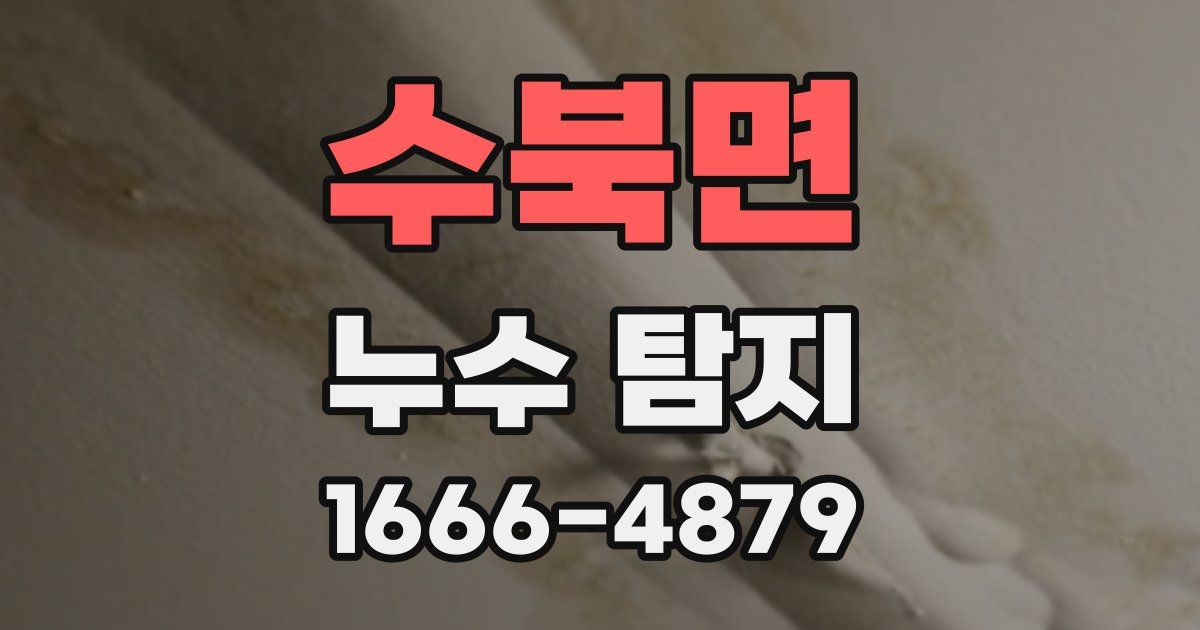 수북면 누수 탐지