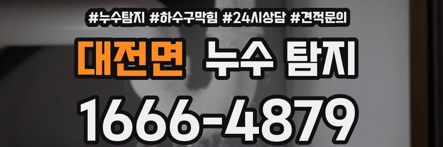 대전면 누수 탐지