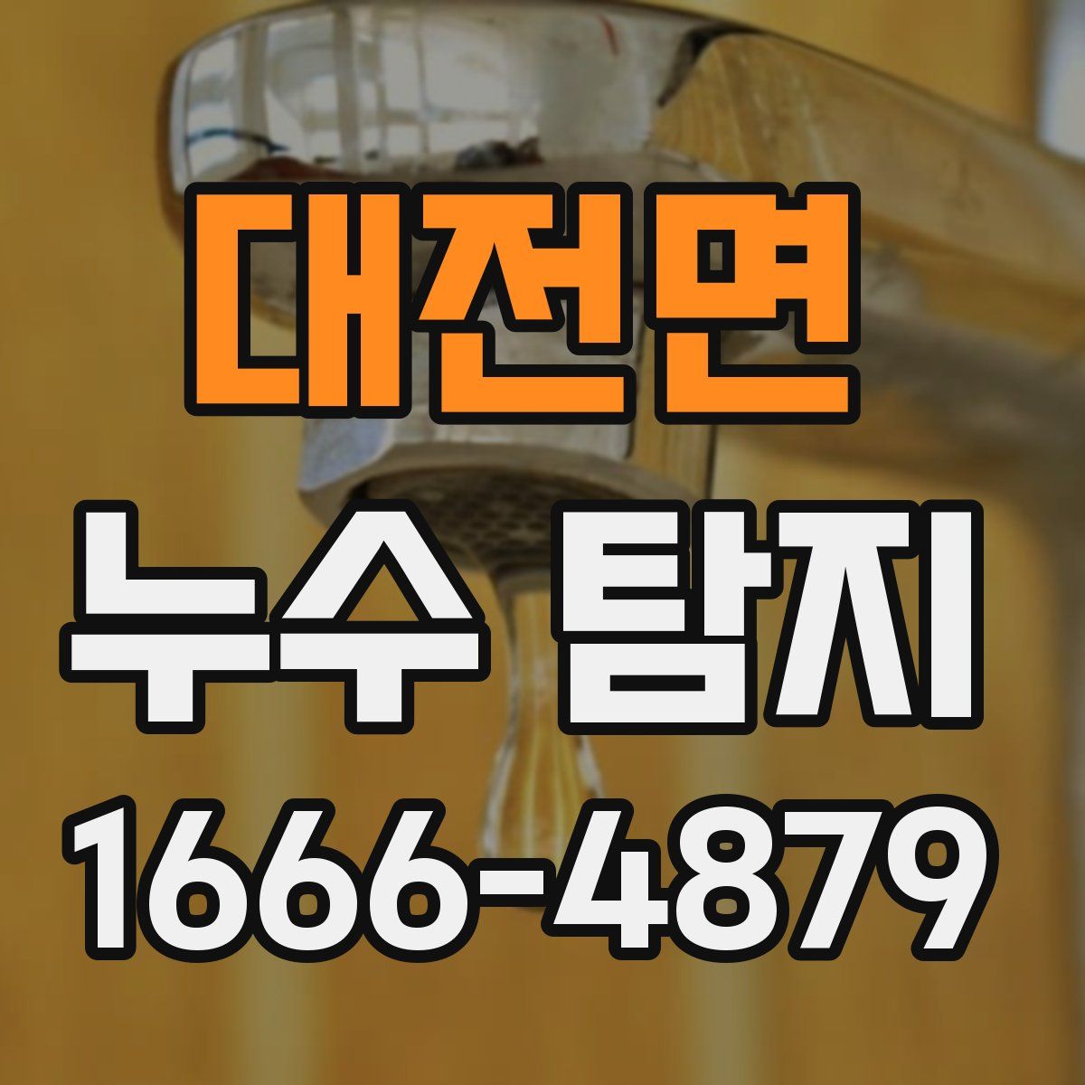 대전면 누수 탐지
