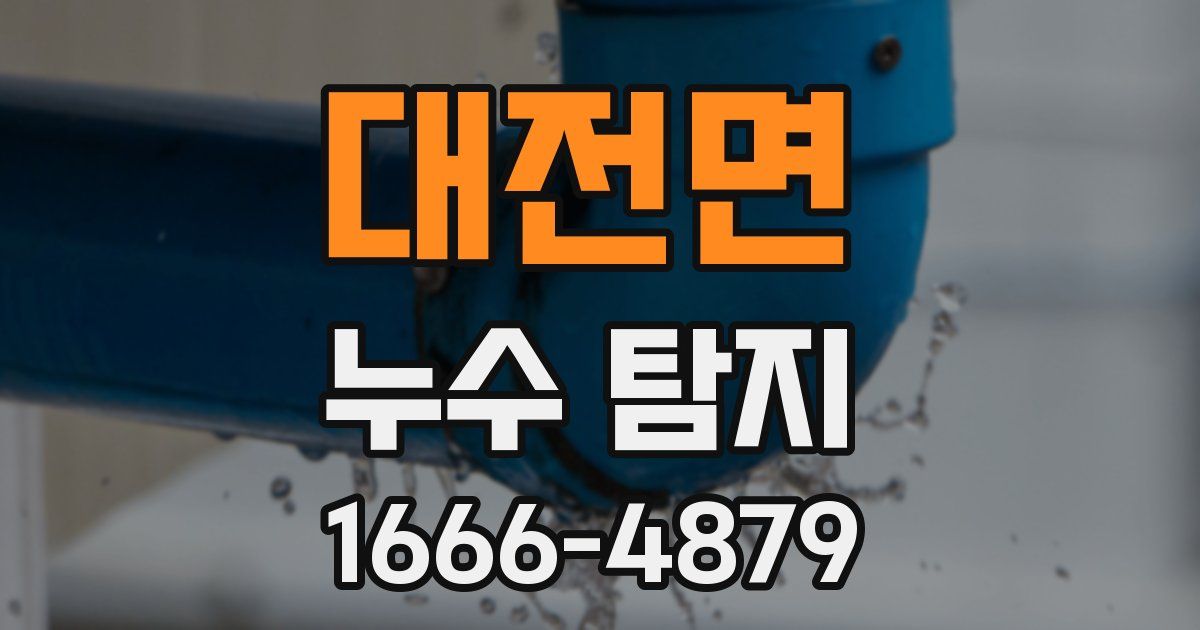 대전면 누수 탐지