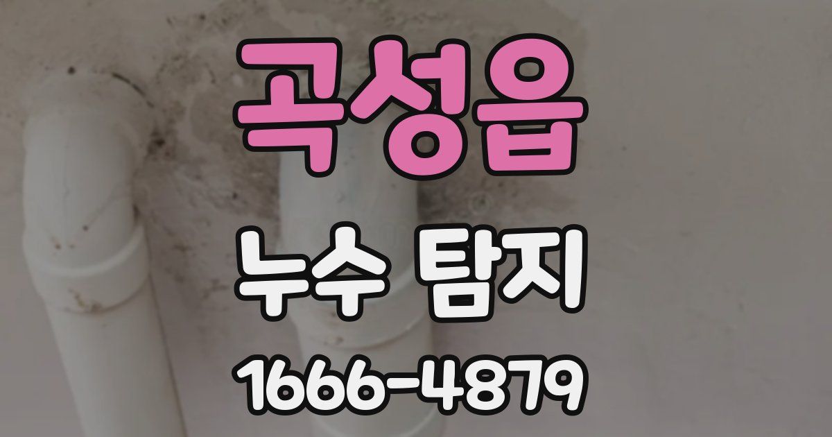 곡성읍 누수 탐지