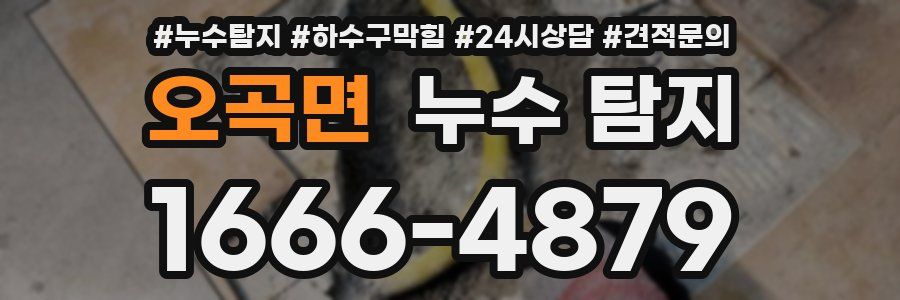 오곡면 누수 탐지