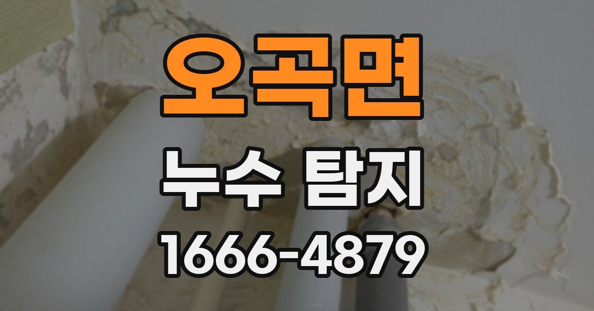 오곡면 누수 탐지