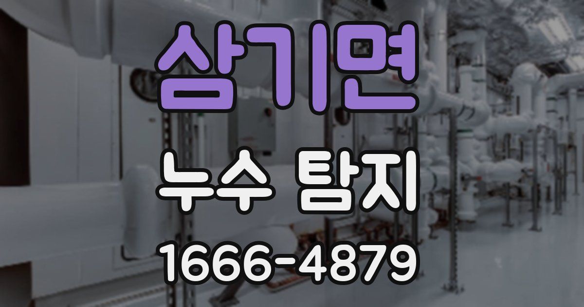 삼기면 누수 탐지