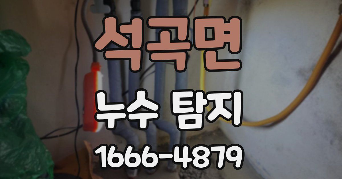 석곡면 누수 탐지