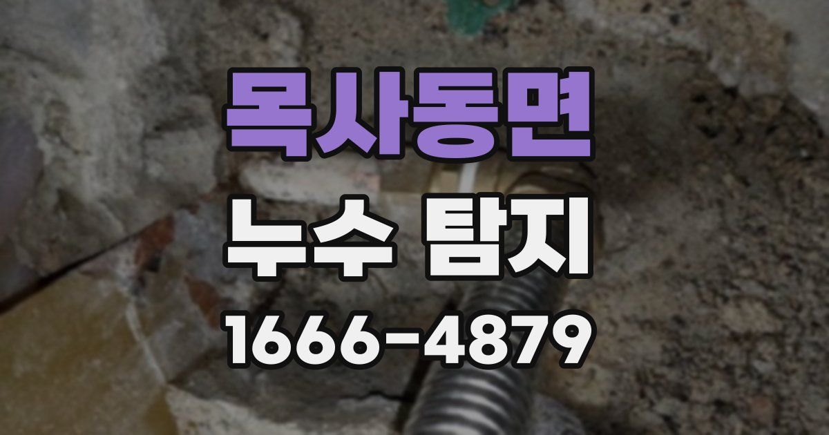 목사동면 누수 탐지