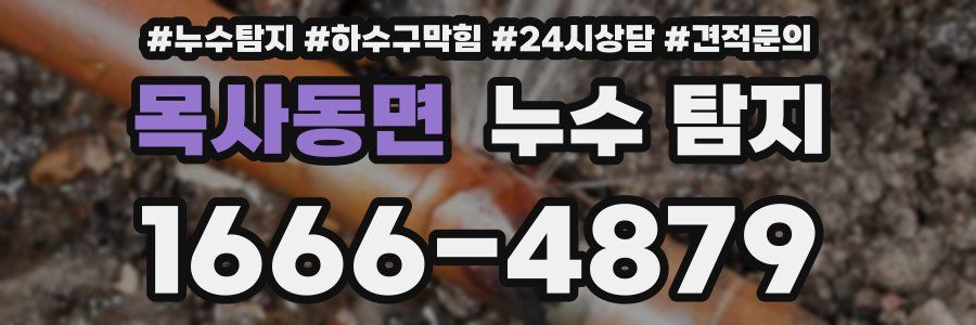 목사동면 누수 탐지
