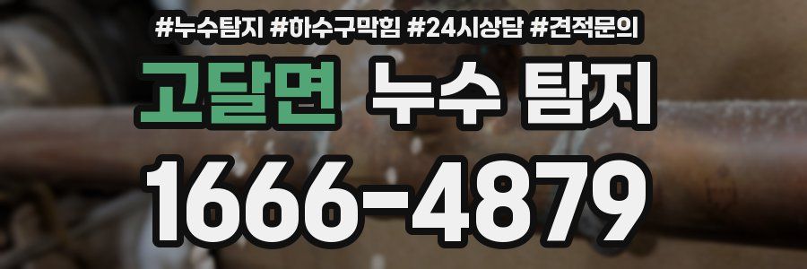 고달면 누수 탐지