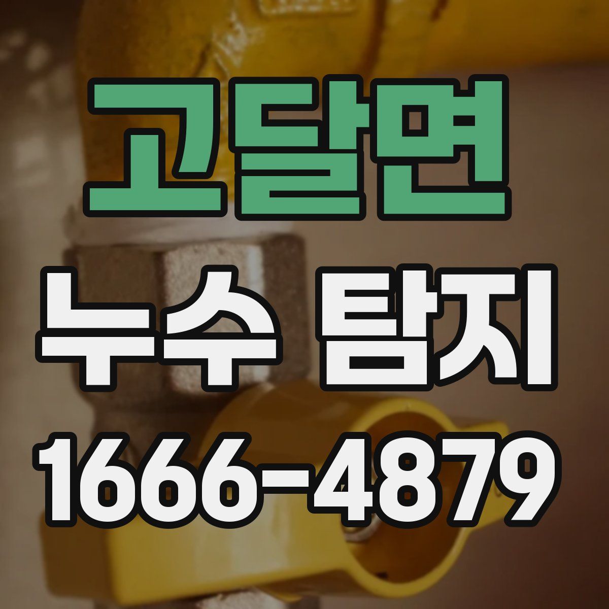 고달면 누수 탐지