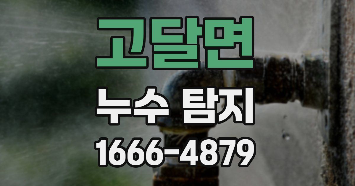 고달면 누수 탐지