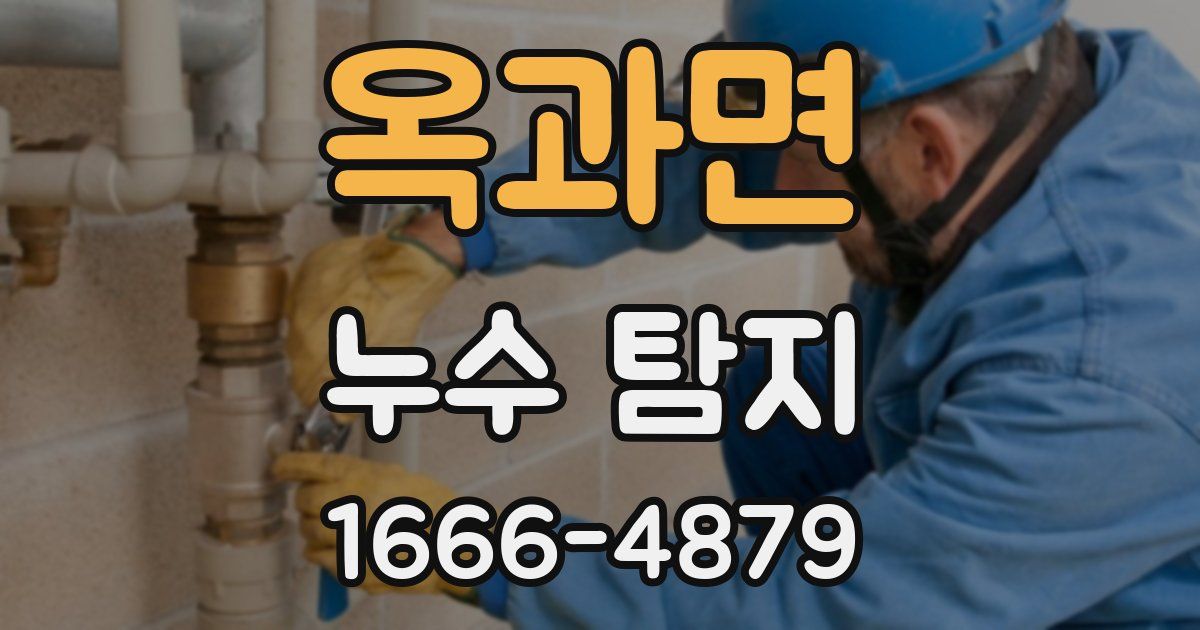 옥과면 누수 탐지