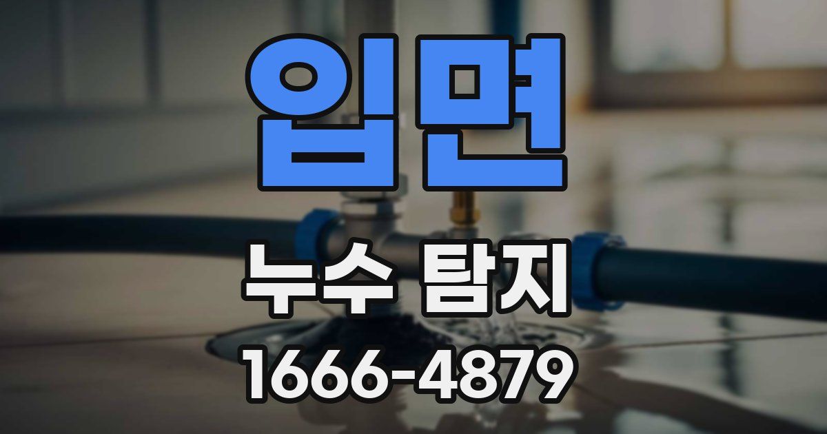 입면 누수 탐지