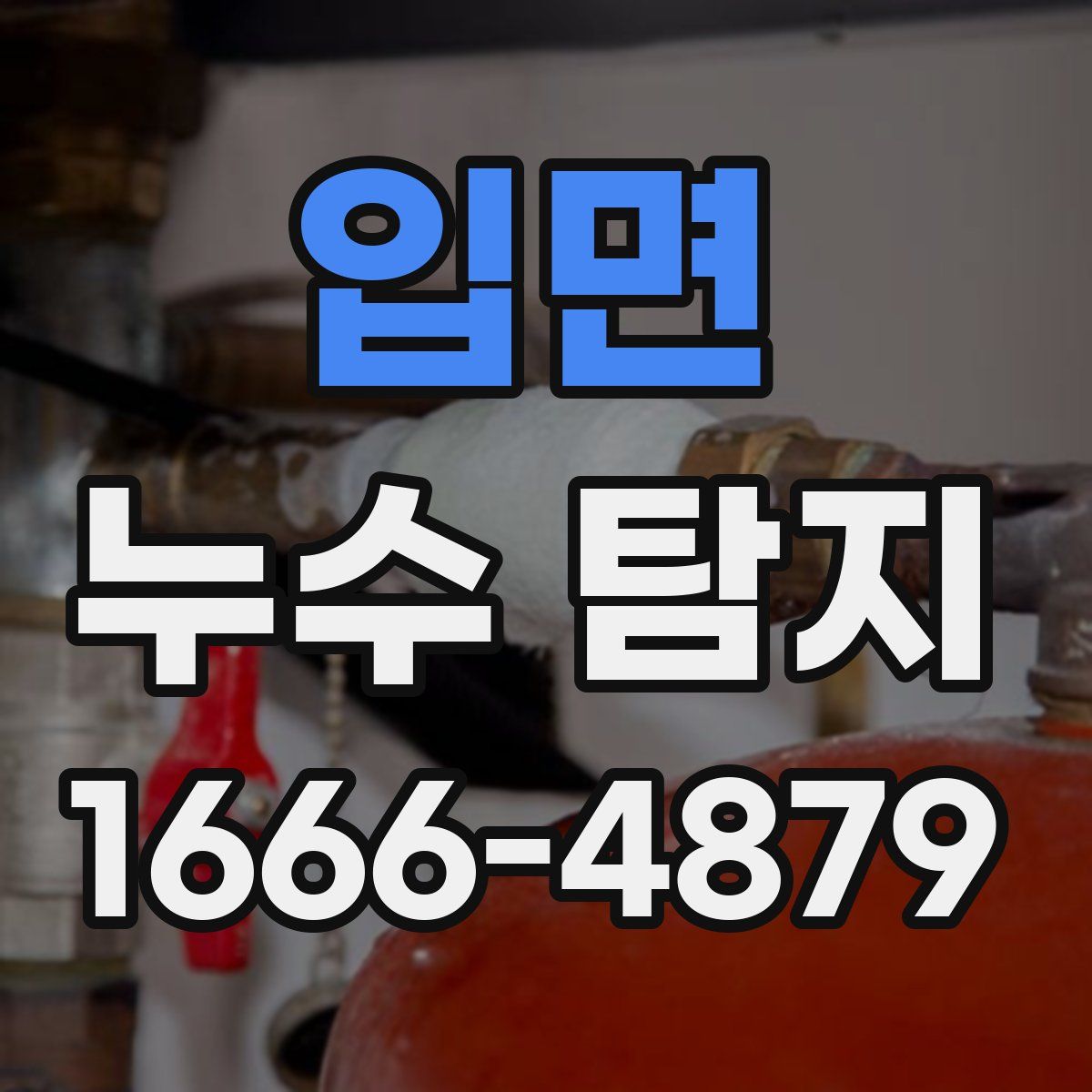 입면 누수 탐지