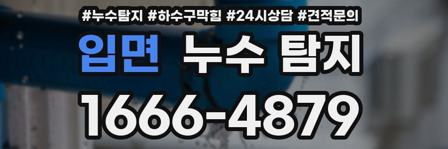 입면 누수 탐지