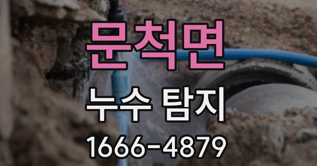 문척면 누수 탐지