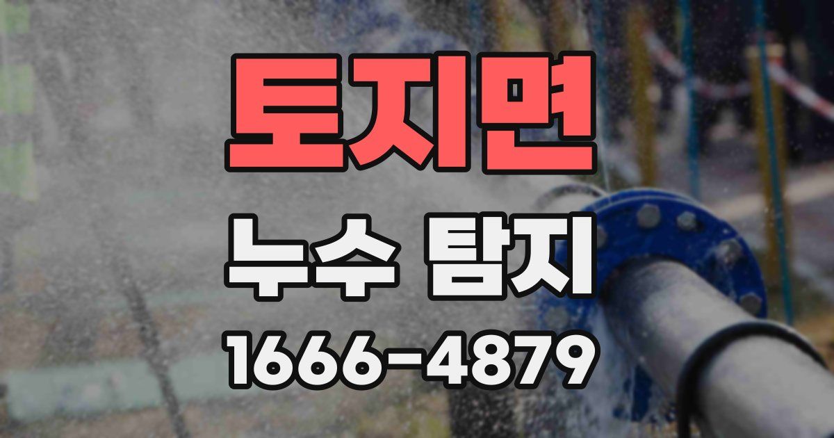 토지면 누수 탐지