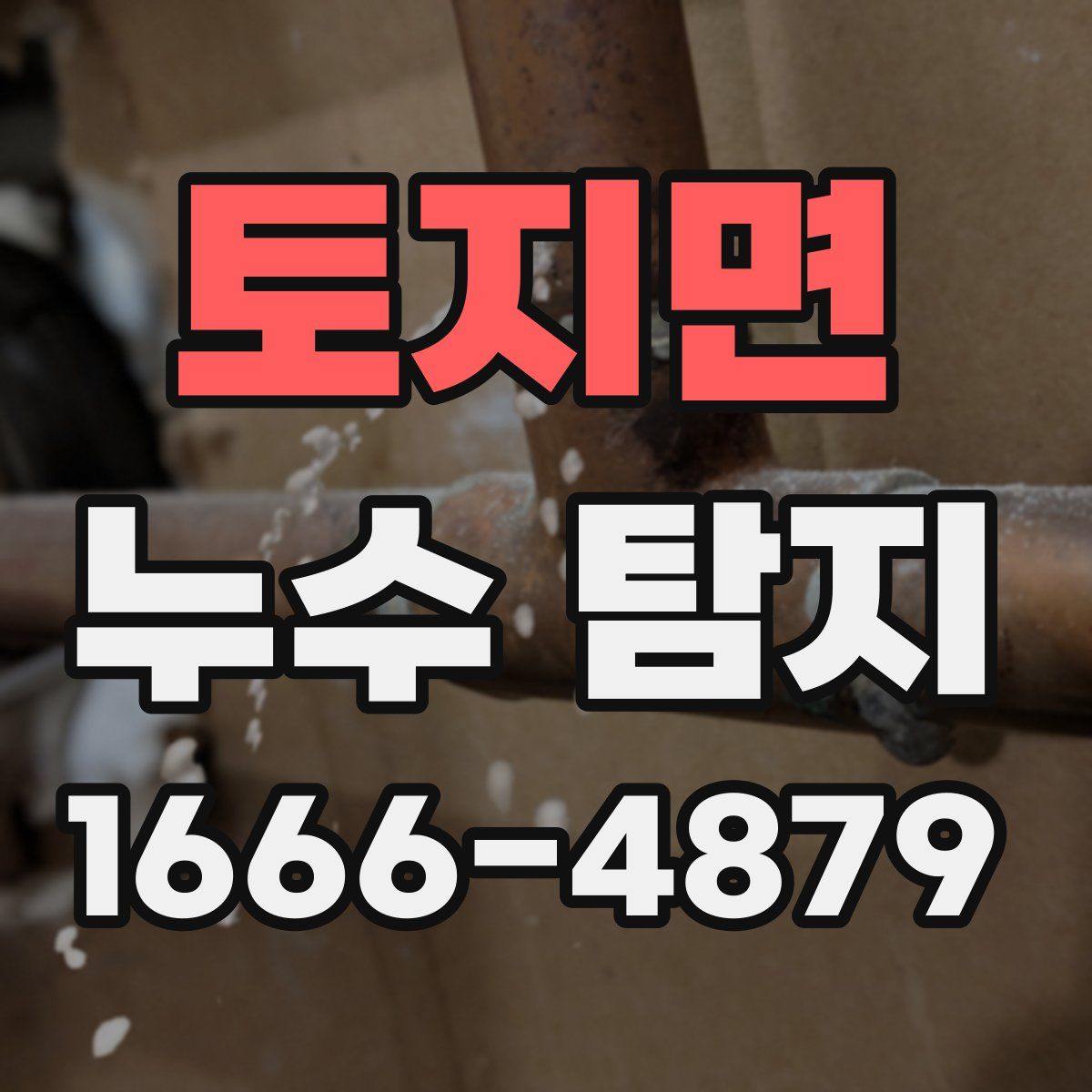 토지면 누수 탐지