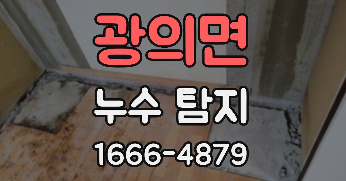 광의면 누수 탐지
