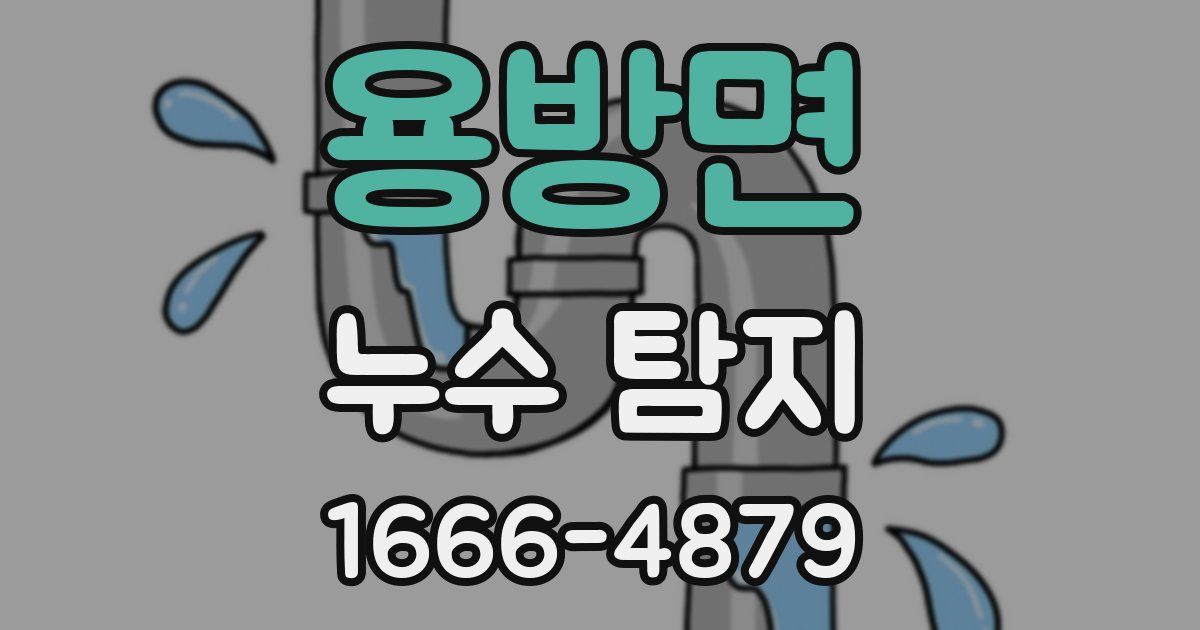 용방면 누수 탐지
