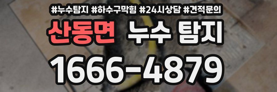 산동면 누수 탐지