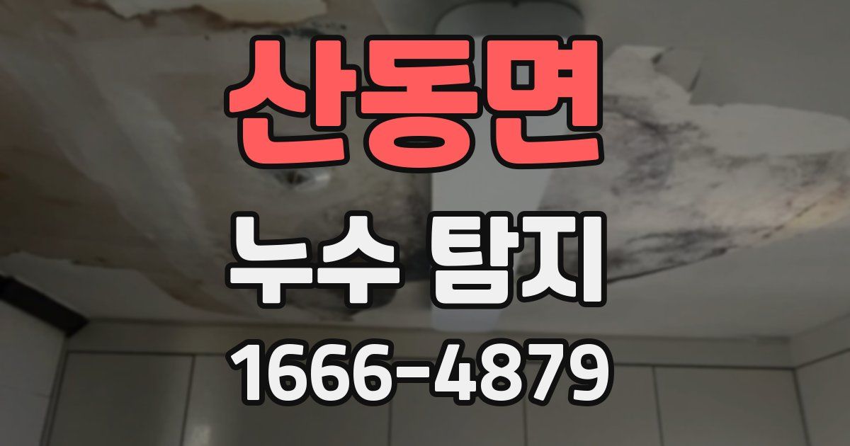 산동면 누수 탐지