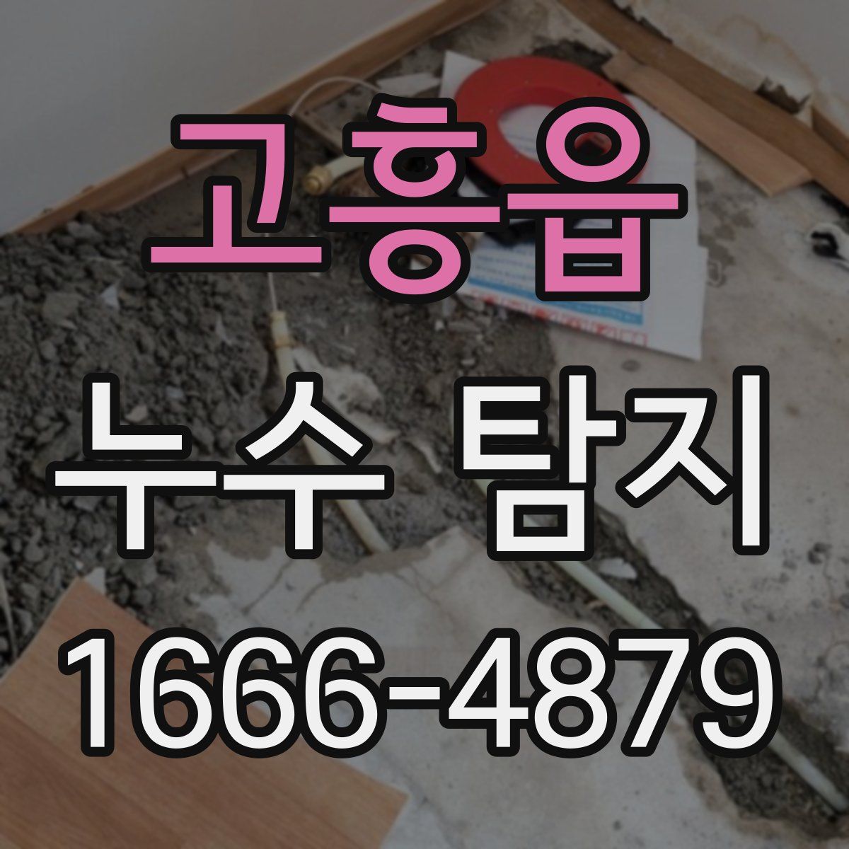 고흥읍 누수 탐지