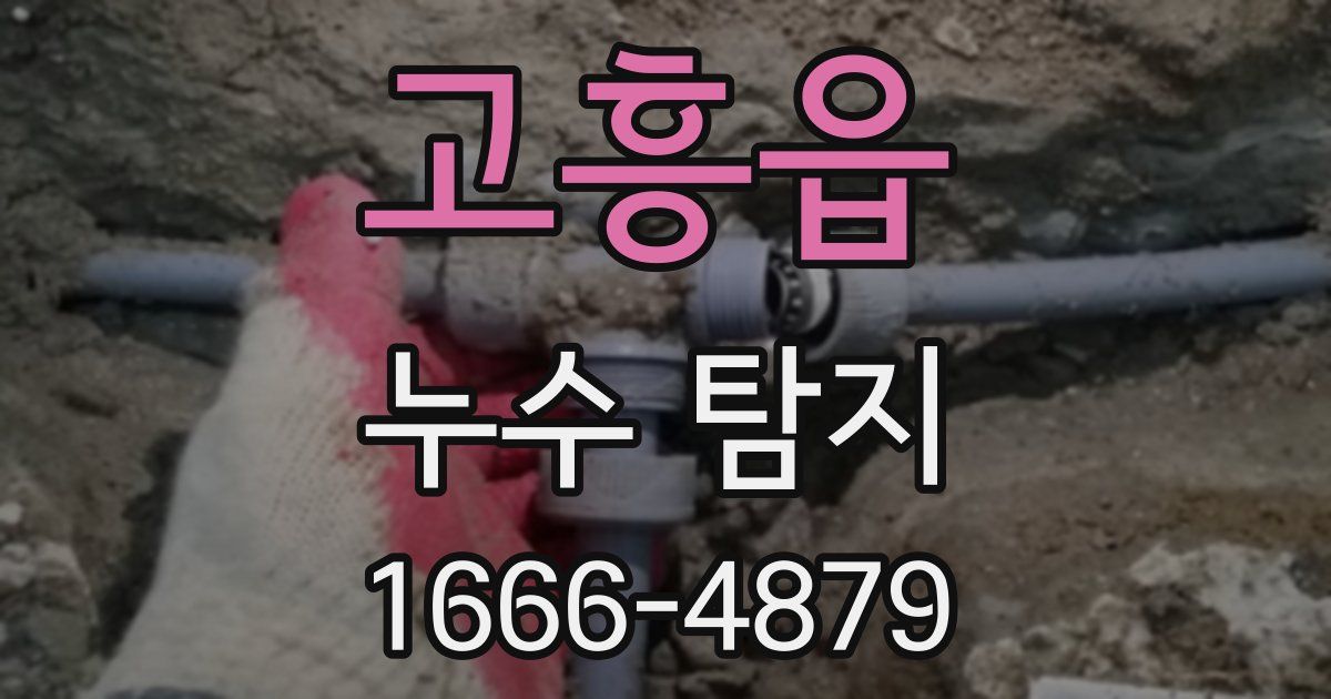 고흥읍 누수 탐지