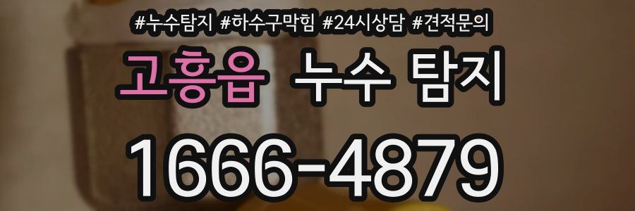 고흥읍 누수 탐지