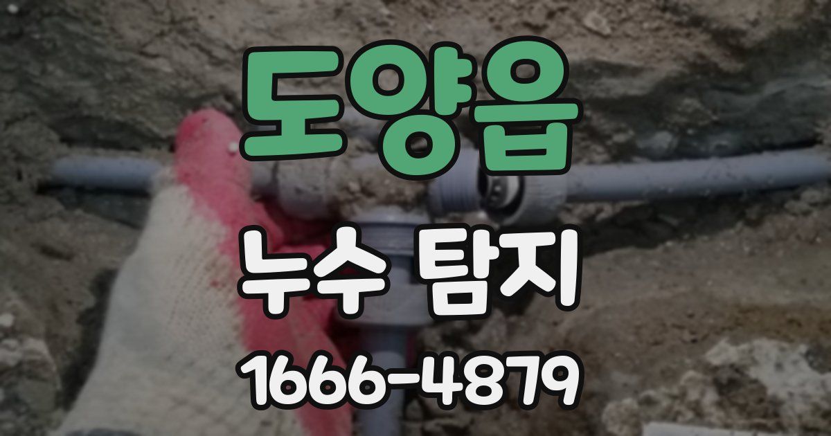 도양읍 누수 탐지