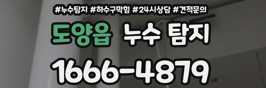 도양읍 누수 탐지