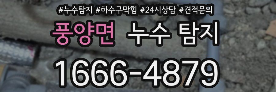 풍양면 누수 탐지