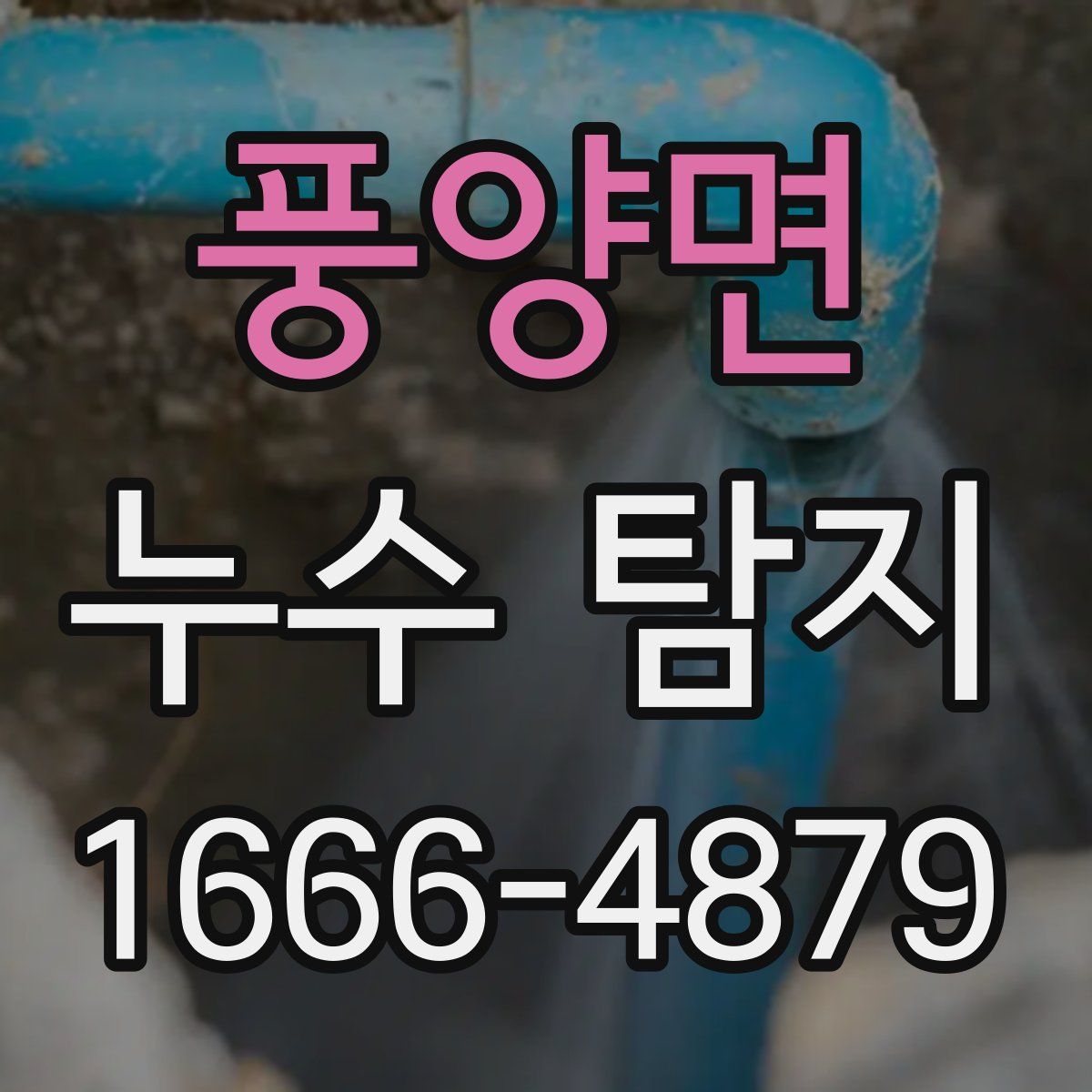 풍양면 누수 탐지
