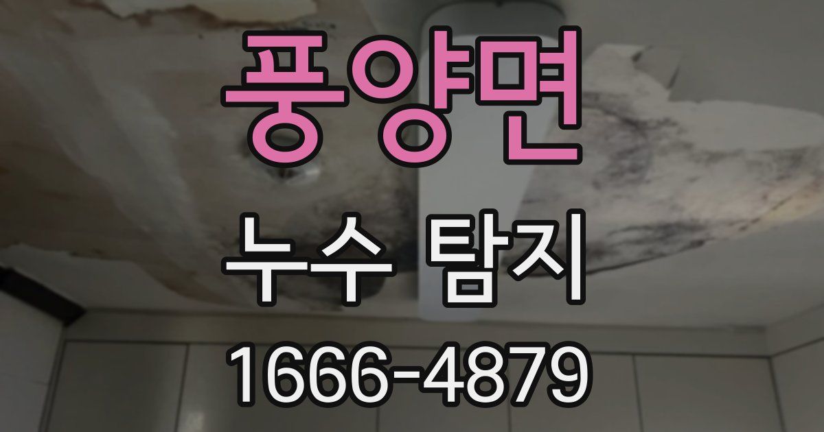 풍양면 누수 탐지