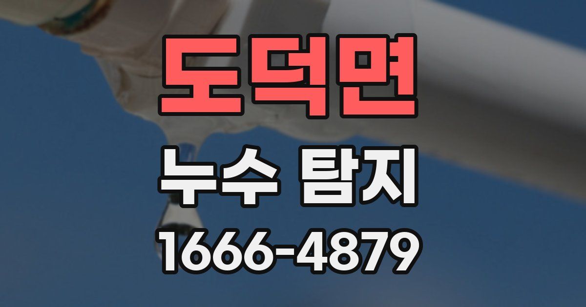 도덕면 누수 탐지