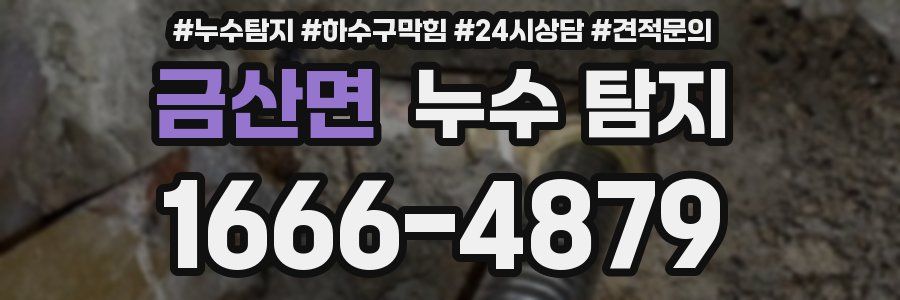금산면 누수 탐지