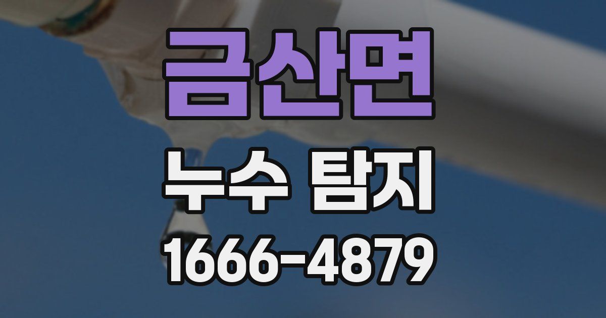 금산면 누수 탐지