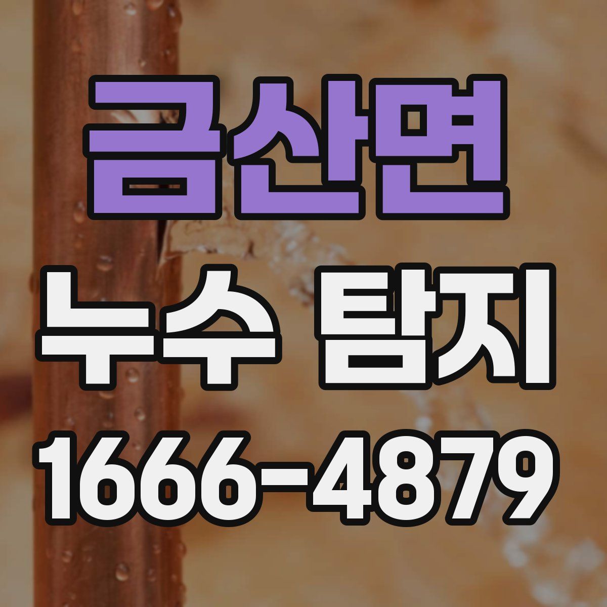 금산면 누수 탐지