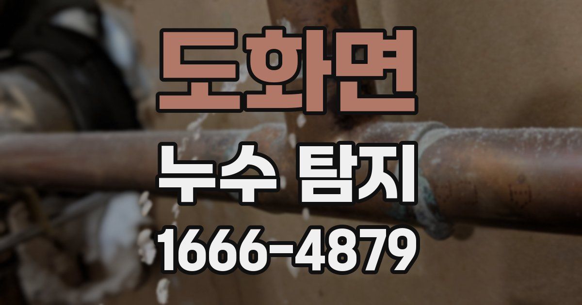 도화면 누수 탐지
